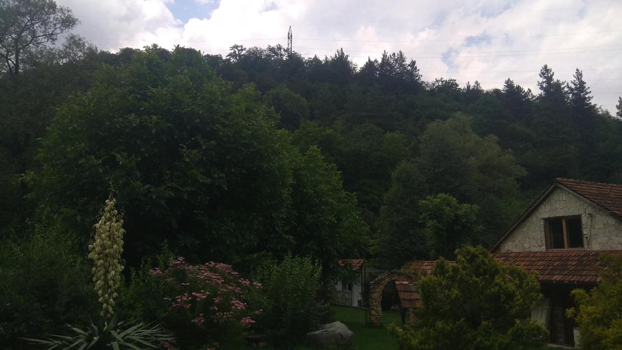 Eco Garden Bed & Breakfast Dilijan Exterior photo