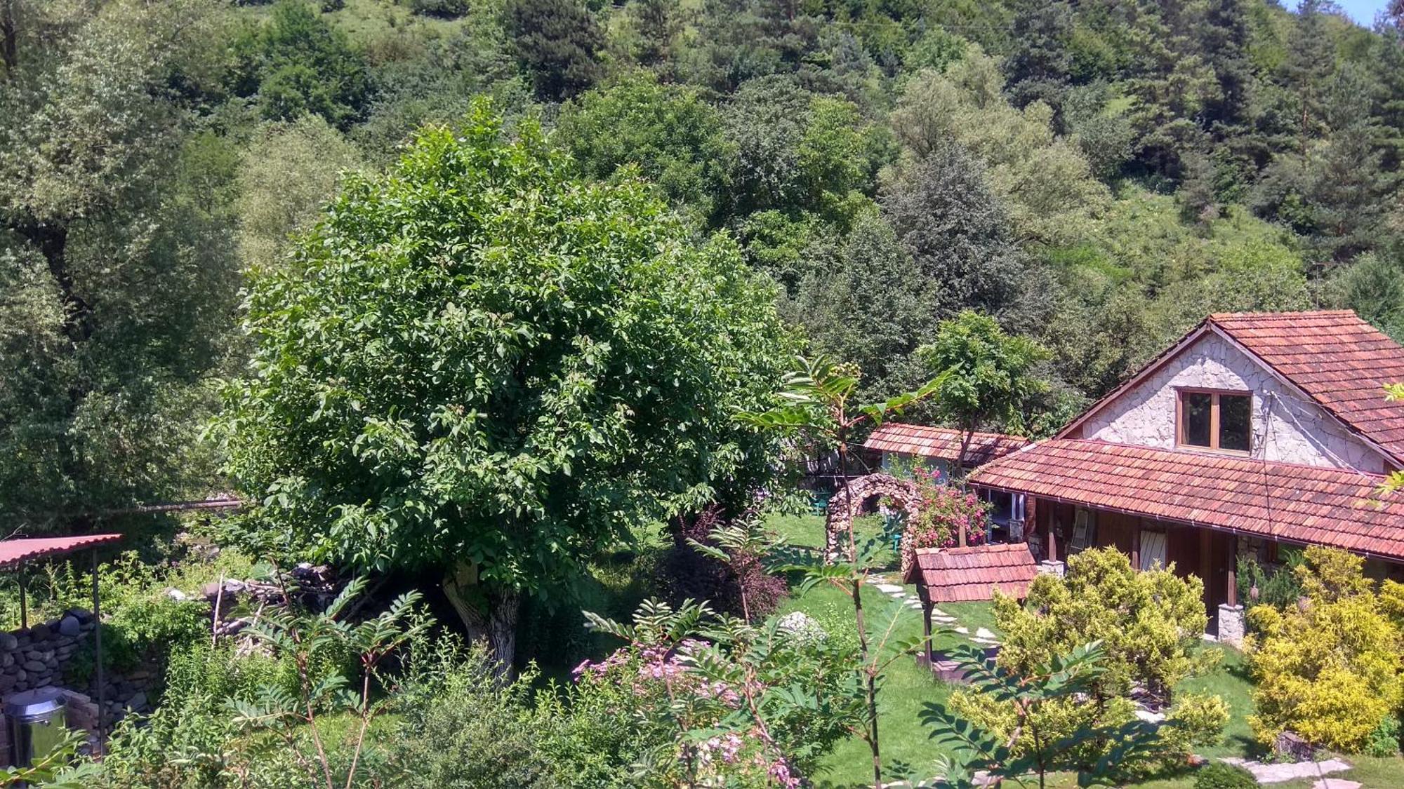 Eco Garden Bed & Breakfast Dilijan Exterior photo